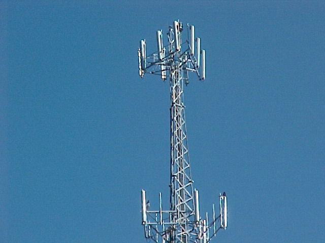 cel tw
